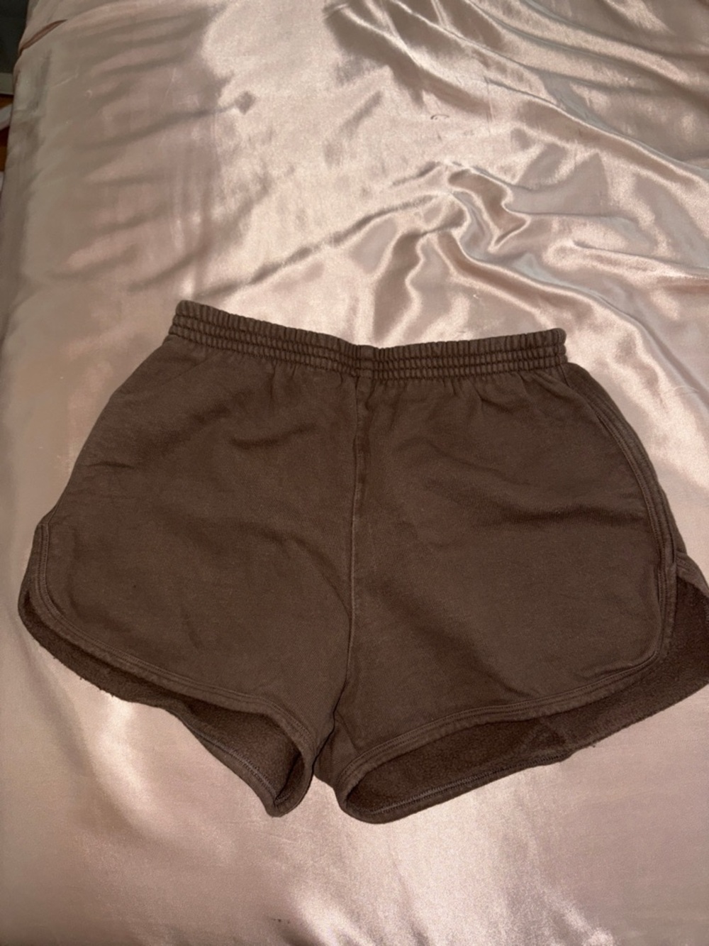 Brandy Melville Brown Athletic Shorts
